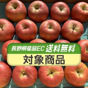 【送料無料】近日中発送！シャキシャキッ！完熟サンふじ 信州りんご 