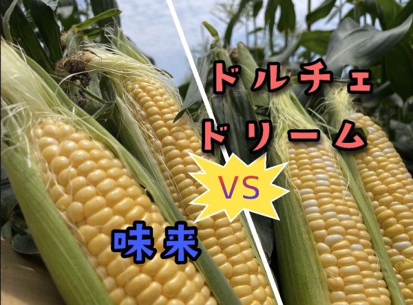 【数量限定】あなたはどっち派!?味来vsドルチェドリーム 食べ比べセット 8本入
