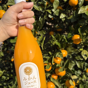 【予約割】無添加！温州みかんジュース 720ml 4本入り