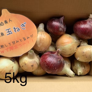 訳ありかも5k‼️淡路島玉ねぎ❣️レッドオニオン入り