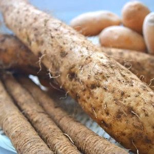 【3点セット】熟成メークインとゴボウ・長芋セット