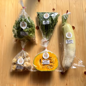 濃甘！野菜セット農薬・化学肥料不使用♪個包装