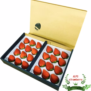 【シーズン限定】甘くてジューシー　希少な南信州産アルプスいちご　厳選完熟大粒のみ