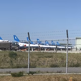 ドルフィンライダー