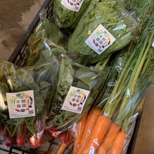 本日の野菜セット