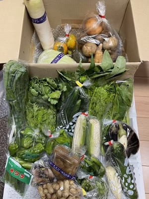 みんなの投稿の画像