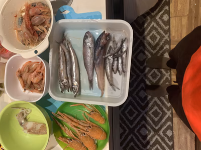 みんなの投稿の画像