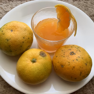 ジュース用 極早生みかん 正味4キロ ❣️飲んでも食べても❣️