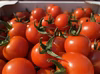 完熟ミニトマト　笑顔と健康をお届けします!