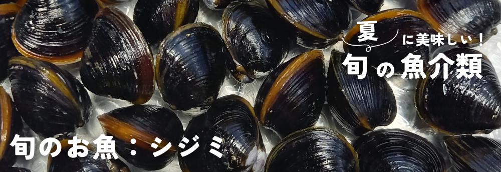 夏に旬の魚介類 シジミ