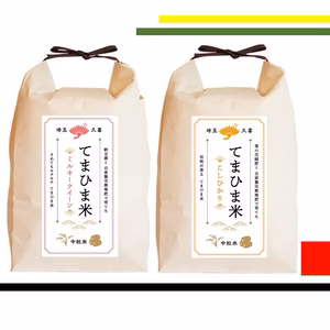 【定期便】セット　令和6年産 『てまひま米』ミルキークイーン・コシヒカリ　４㎏~