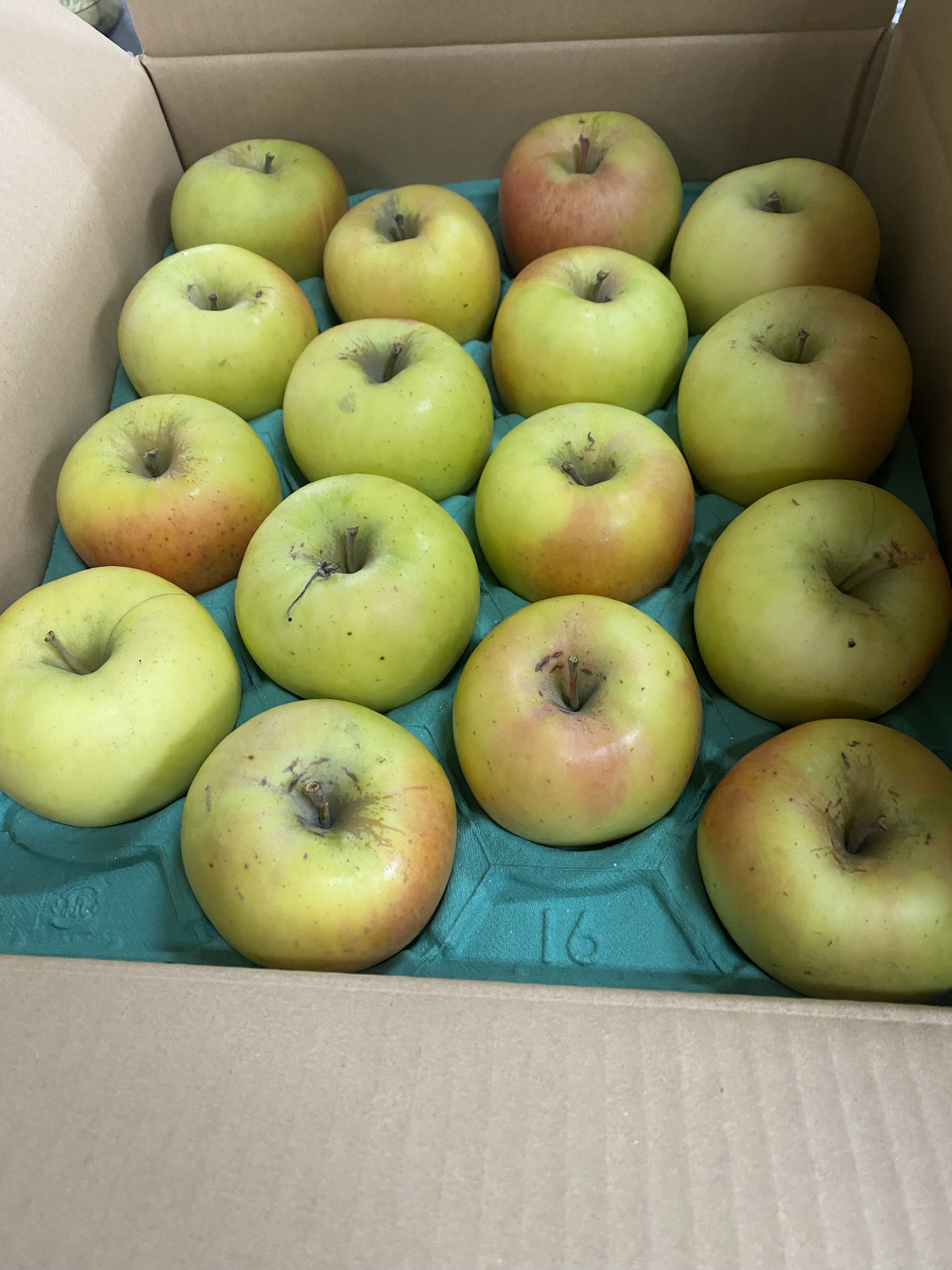 小さいけども美味い！家庭用ぐんま名月｜りんごの商品詳細｜ポケット