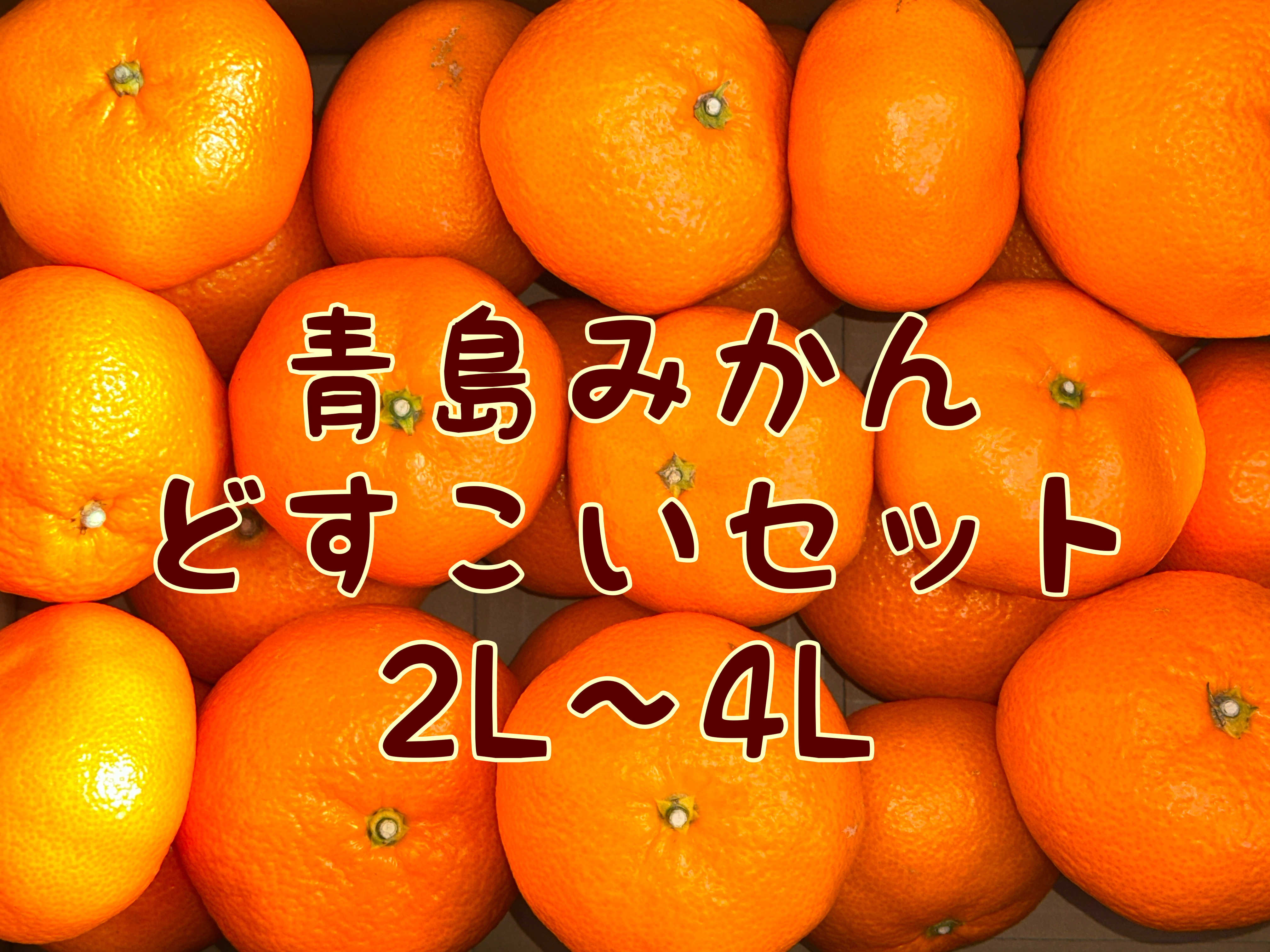 青島みかん どすこいセット 2L～4L （わけあり）｜みかんの商品詳細