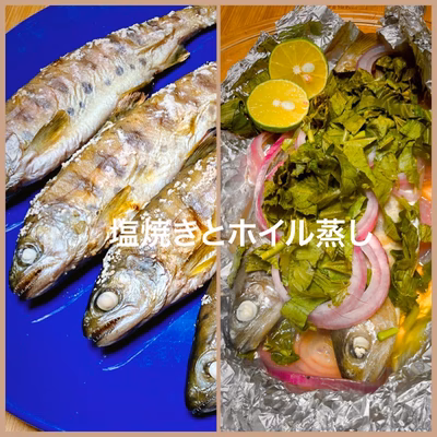 みんなの投稿の画像