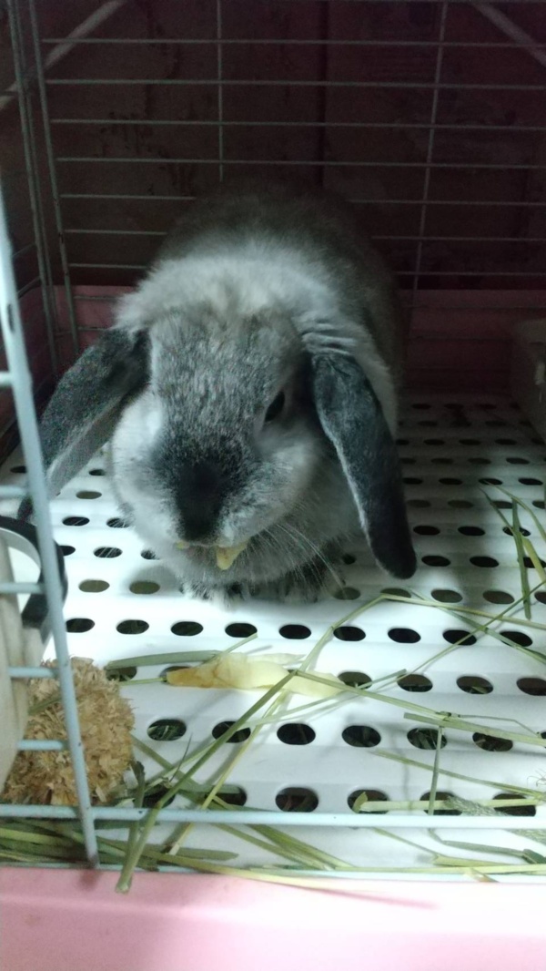 ポケットマルシェ 旬の食べものを農家 漁師から産地直送で通販 取り寄せ