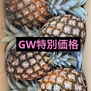 沖縄県石垣島産小玉ピーチパイン4個