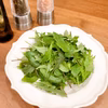 【農薬不使用】極上ベビーリーフ（サラダ約4食分）！硝酸態窒素90％以上カット！