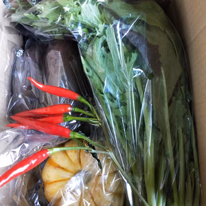 【農薬化学肥料不使用】❅冷蔵❅季節の野菜ミニセット