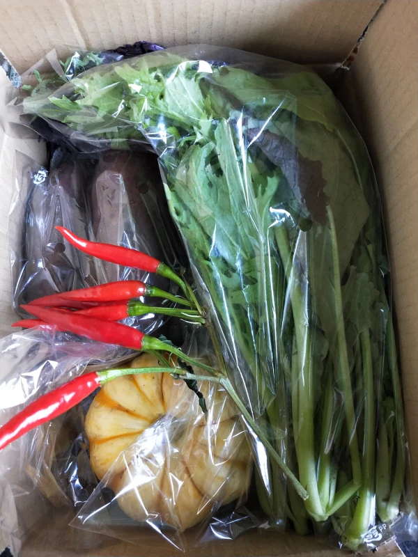 【農薬化学肥料不使用】❅冷蔵❅季節の野菜ミニセット