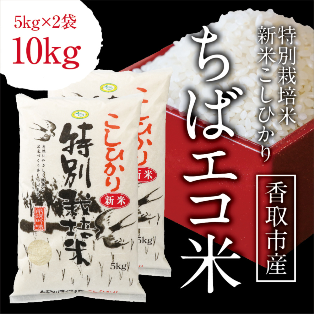 千葉県産 令和5年コシヒカリ精米20kg減農薬栽培 - 米