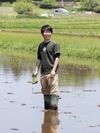 幻の米⁉︎多古米コシヒカリ玄米15kg