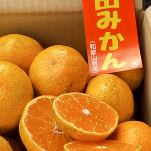 リピーター御用達！　訳あり有田みかんサイズ混合