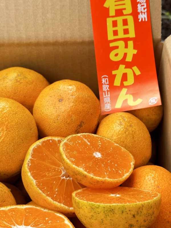 リピーター御用達！　訳あり有田みかんサイズ混合