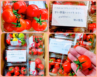 みんなの投稿の画像