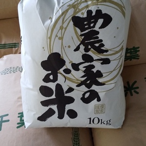 令和2年度産 千葉県産コシヒカリ 精米10キロ