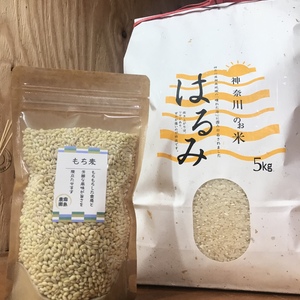 もち麦ごはんセット！