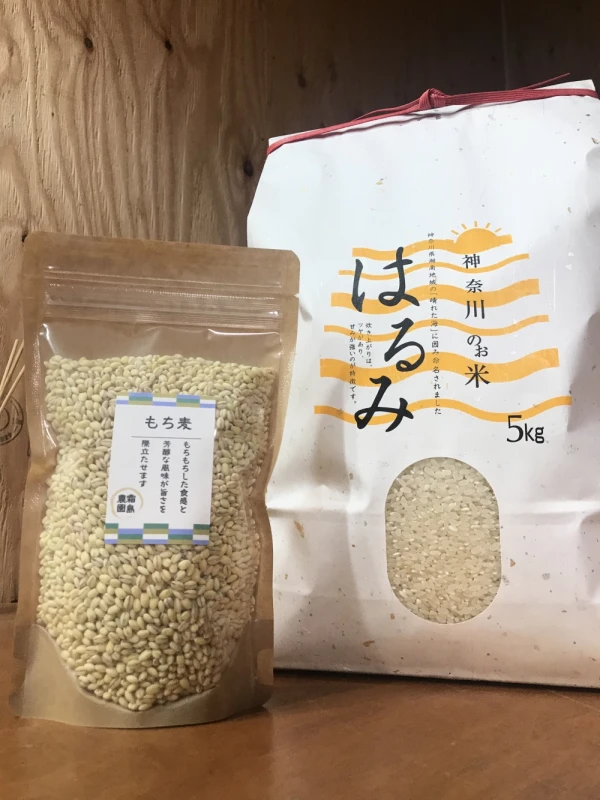 新米　神奈川県産はるみ＋もち麦セット