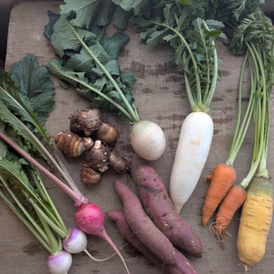 常温便【12月のぐるっと収穫】渥美半島から旬と彩りの野菜セット