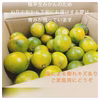 【2s～3ｓ混合サイズ】＜短期販売＞希少品種「ゆら早生」こんまいみかん