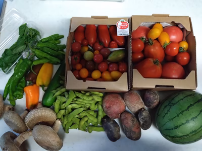 みんなの投稿の画像