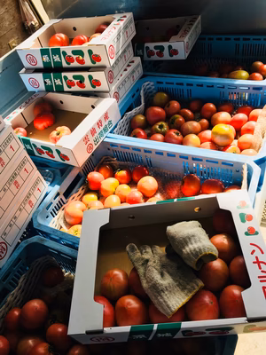 みんなの投稿の画像