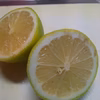 爽やか 国産グリーンレモン2㎏