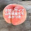 お試しサイズ予約♡桃の女王♡あかつき♡山形県産もも♡