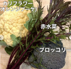 京の無農薬野菜《ブロッコリー、カリフラワー、赤水菜のチョップドサラダセット☆