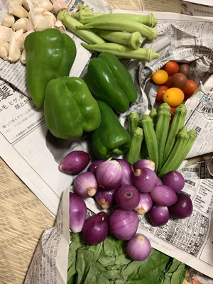 みんなの投稿の画像