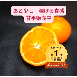 家庭用甘平　 大人気で爆売れ中 　