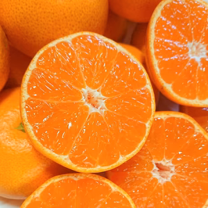 11月20日より発送　和歌山県由良産　完熟由良みかん5kg（LＭＳサイズ混）