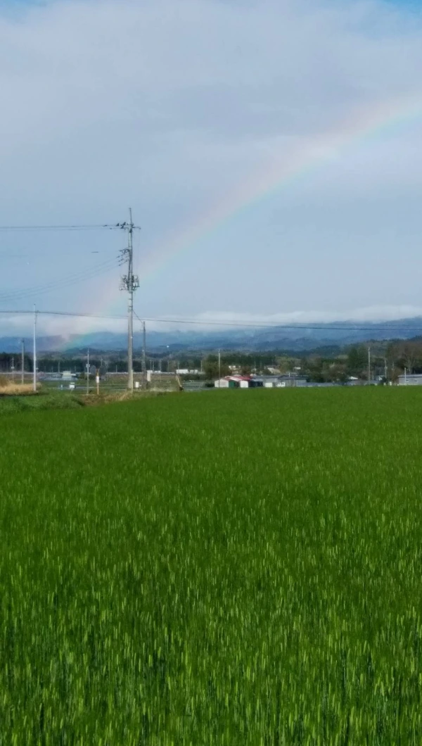 欽ちゃん農場