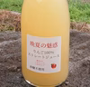 新作「晩夏の魅惑」夏りんご100％ストレートジュース　砂糖不使用レア商品）