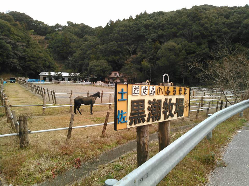 12645025_964389500310974_9028242796578110102_n