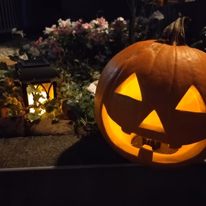 【数量限定】ハロウィンカボチャ