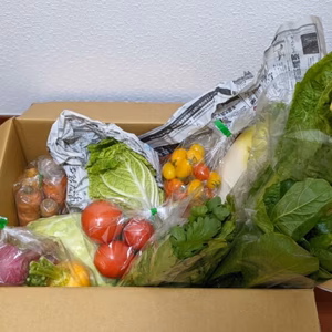 季節のおすすめ！野菜セット～農薬/化学肥料・不使用