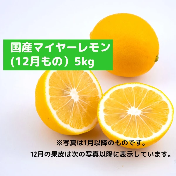 冬はホットレモネード！国産マイヤーレモン(5kg)
