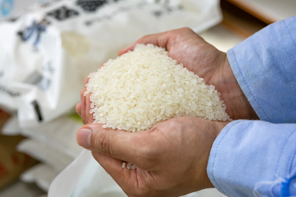 【令和４年産】あさか舞コシヒカリ【普通洗米】５ｋｇ