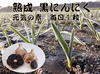 那須高原産 ホワイト六片 黒にんにく 200ｇ×2袋