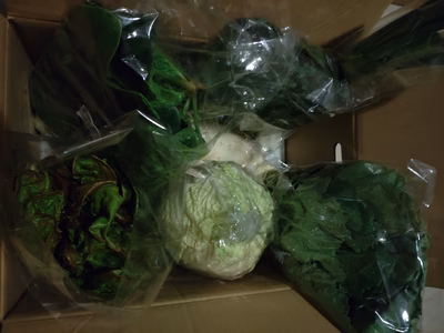 みんなの投稿の画像